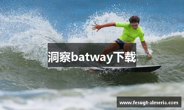 洞察batway下载